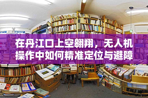 在丹江口上空翱翔，无人机操作中如何精准定位与避障？