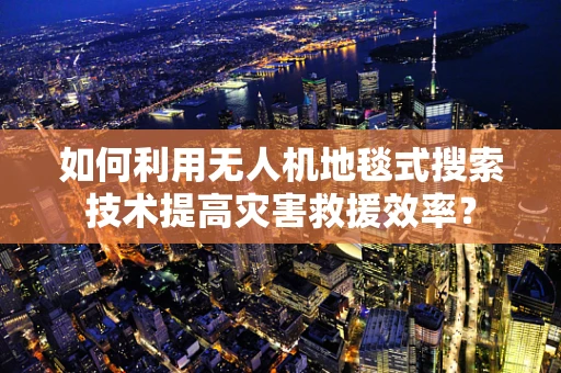 如何利用无人机地毯式搜索技术提高灾害救援效率？