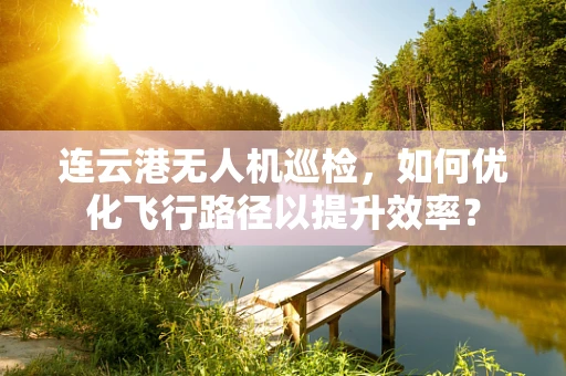 连云港无人机巡检，如何优化飞行路径以提升效率？