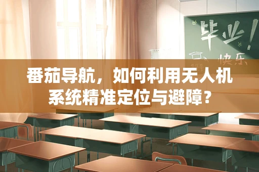 番茄导航，如何利用无人机系统精准定位与避障？