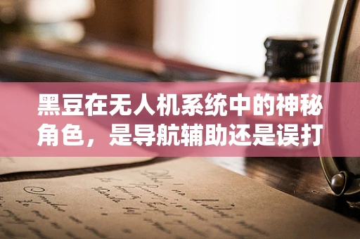 黑豆在无人机系统中的神秘角色，是导航辅助还是误打误撞的巧合？