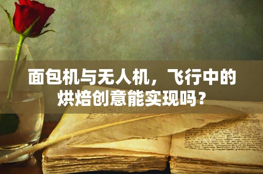 面包机与无人机，飞行中的烘焙创意能实现吗？