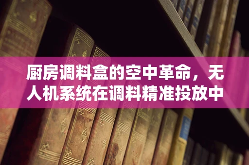 厨房调料盒的空中革命，无人机系统在调料精准投放中的应用？