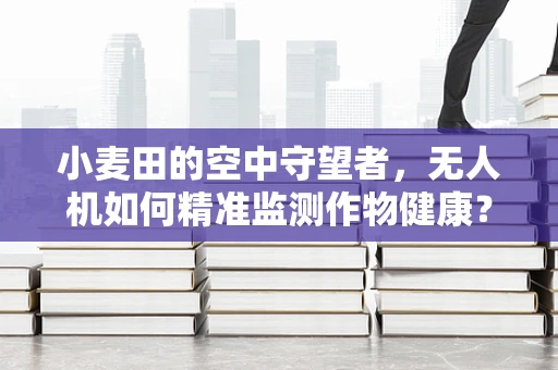 小麦田的空中守望者，无人机如何精准监测作物健康？