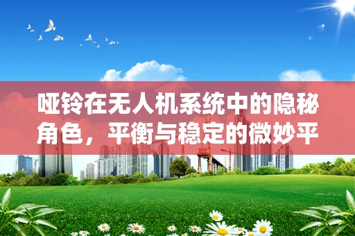 哑铃在无人机系统中的隐秘角色，平衡与稳定的微妙平衡