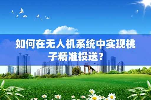 如何在无人机系统中实现桃子精准投送？