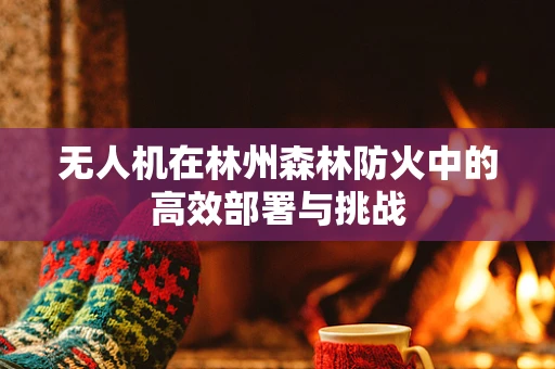 无人机在林州森林防火中的高效部署与挑战