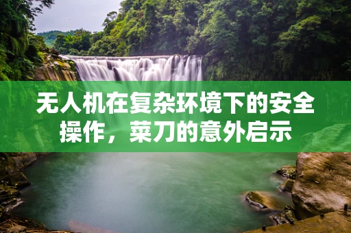 无人机在复杂环境下的安全操作，菜刀的意外启示