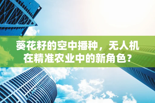 葵花籽的空中播种，无人机在精准农业中的新角色？