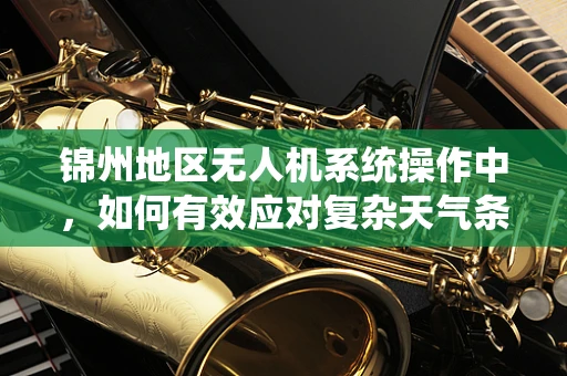 锦州地区无人机系统操作中，如何有效应对复杂天气条件？