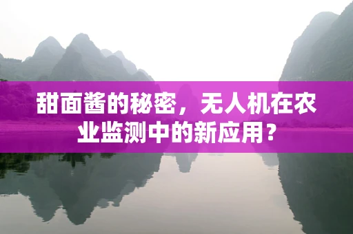甜面酱的秘密，无人机在农业监测中的新应用？