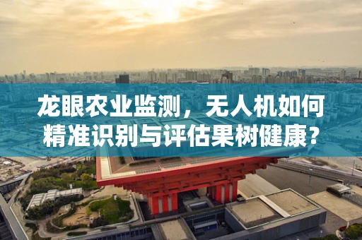 龙眼农业监测，无人机如何精准识别与评估果树健康？