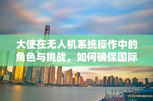 大使在无人机系统操作中的角色与挑战，如何确保国际交流的顺畅与安全？