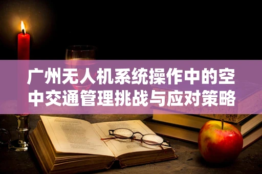 广州无人机系统操作中的空中交通管理挑战与应对策略