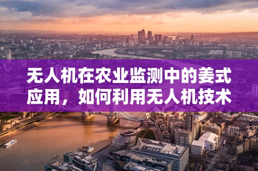 无人机在农业监测中的姜式应用，如何利用无人机技术高效监测生姜田？