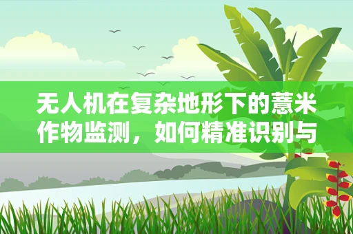 无人机在复杂地形下的薏米作物监测，如何精准识别与数据采集？