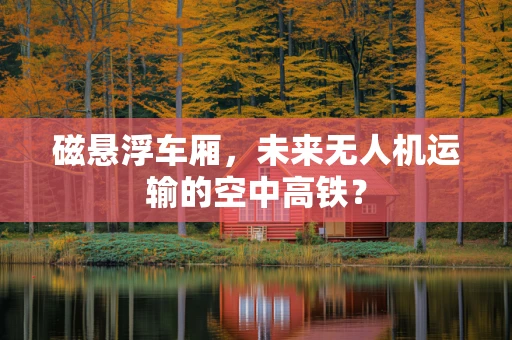 磁悬浮车厢，未来无人机运输的空中高铁？