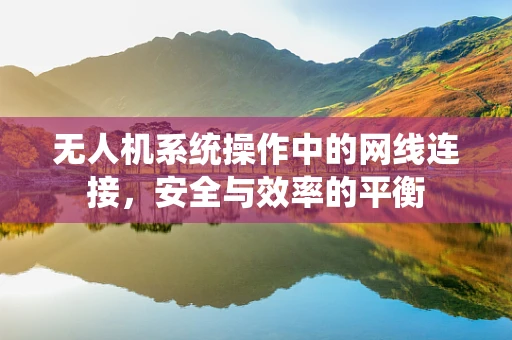 无人机系统操作中的网线连接，安全与效率的平衡