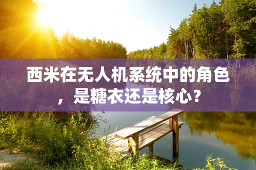 西米在无人机系统中的角色，是糖衣还是核心？