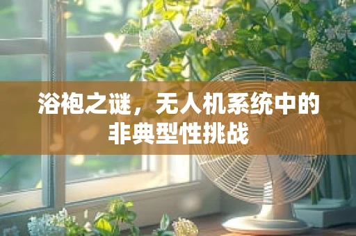 浴袍之谜，无人机系统中的非典型性挑战