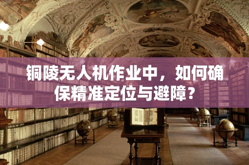 铜陵无人机作业中，如何确保精准定位与避障？