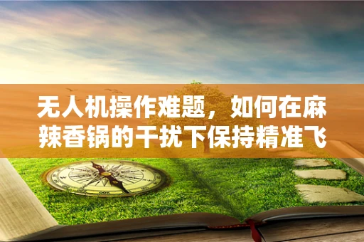 无人机操作难题，如何在麻辣香锅的干扰下保持精准飞行？