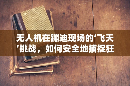 无人机在蹦迪现场的‘飞天’挑战，如何安全地捕捉狂欢瞬间？