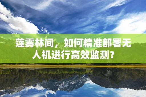 莲雾林间，如何精准部署无人机进行高效监测？