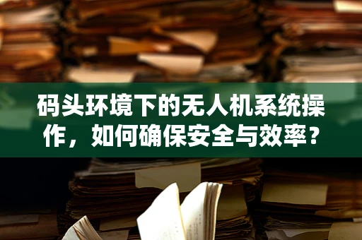 码头环境下的无人机系统操作，如何确保安全与效率？