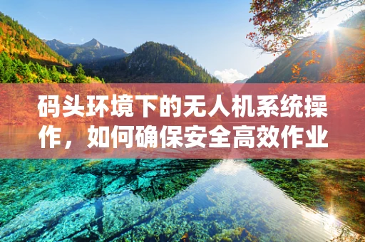 码头环境下的无人机系统操作，如何确保安全高效作业？
