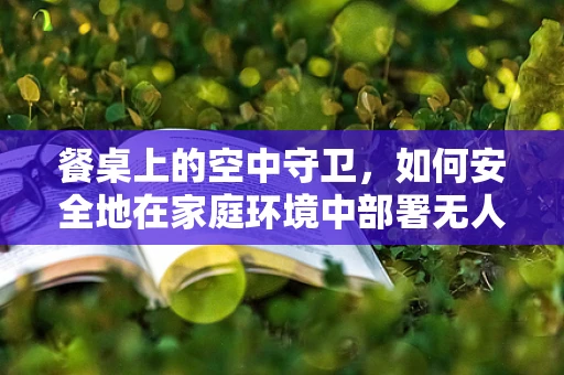 餐桌上的空中守卫，如何安全地在家庭环境中部署无人机？