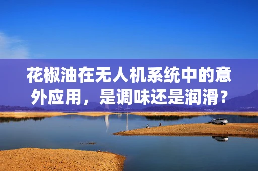 花椒油在无人机系统中的意外应用，是调味还是润滑？