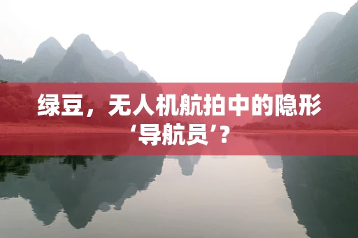 绿豆，无人机航拍中的隐形‘导航员’？