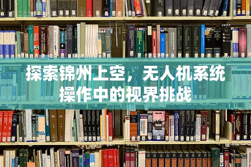 探索锦州上空，无人机系统操作中的视界挑战