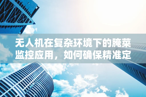 无人机在复杂环境下的腌菜监控应用，如何确保精准定位与安全飞行？