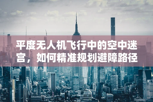 平度无人机飞行中的空中迷宫，如何精准规划避障路径？