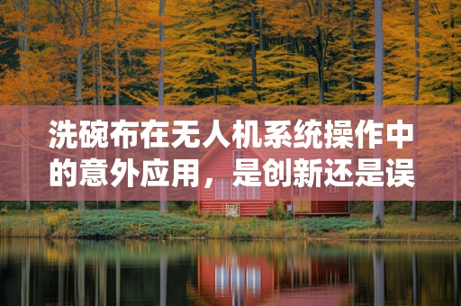 洗碗布在无人机系统操作中的意外应用，是创新还是误用？