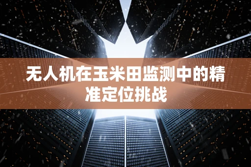 无人机在玉米田监测中的精准定位挑战