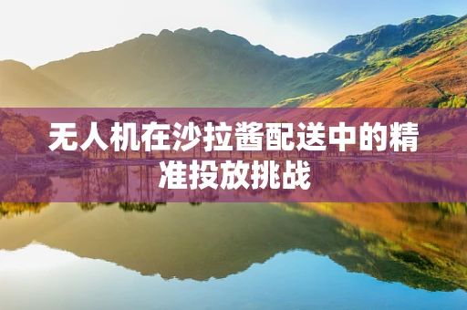 无人机在沙拉酱配送中的精准投放挑战