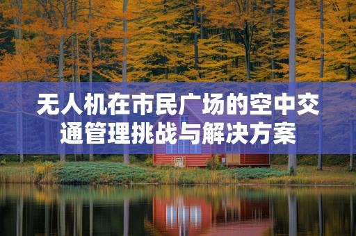 无人机在市民广场的空中交通管理挑战与解决方案