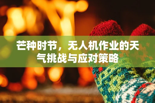 芒种时节，无人机作业的天气挑战与应对策略