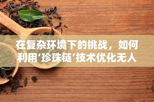 在复杂环境下的挑战，如何利用‘珍珠链’技术优化无人机系统操作？