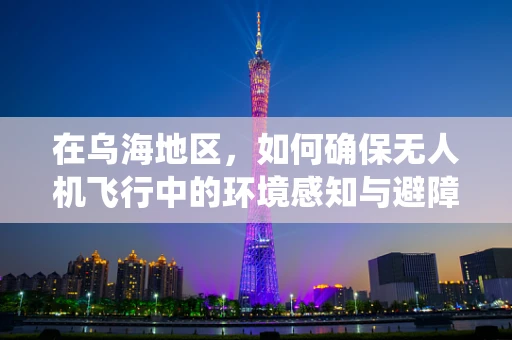 在乌海地区，如何确保无人机飞行中的环境感知与避障系统的有效性？