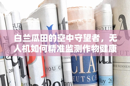 白兰瓜田的空中守望者，无人机如何精准监测作物健康？