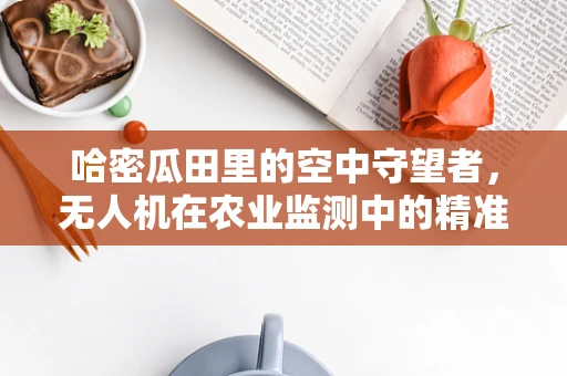 哈密瓜田里的空中守望者，无人机在农业监测中的精准定位挑战