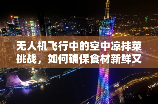 无人机飞行中的空中凉拌菜挑战，如何确保食材新鲜又安全？