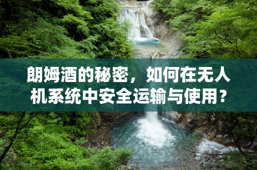 朗姆酒的秘密，如何在无人机系统中安全运输与使用？