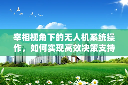宰相视角下的无人机系统操作，如何实现高效决策支持？