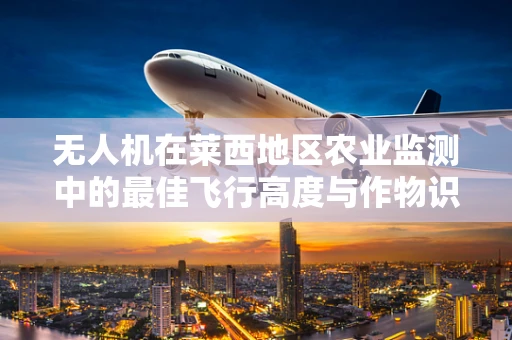 无人机在莱西地区农业监测中的最佳飞行高度与作物识别精度研究