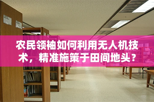 农民领袖如何利用无人机技术，精准施策于田间地头？